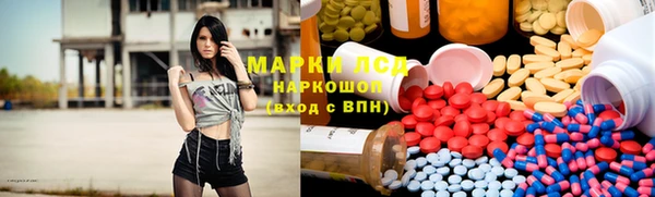 прущие грибы Киренск