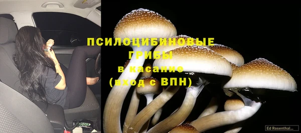 трава Киреевск