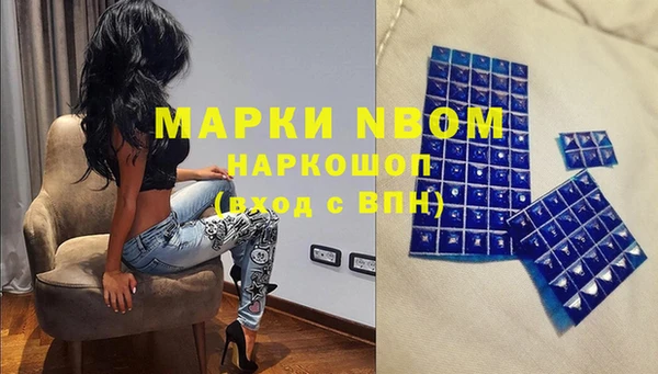 прущие грибы Киренск