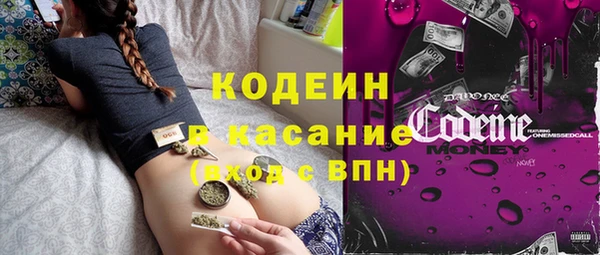 прущие грибы Киренск
