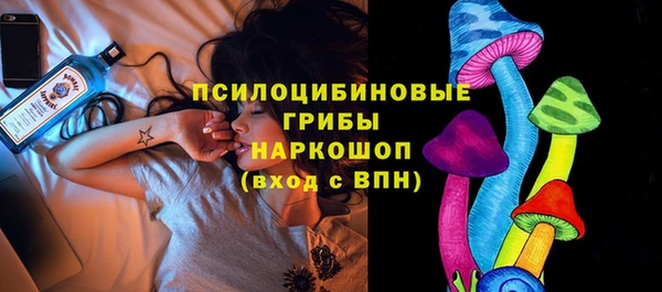 прущие грибы Киренск