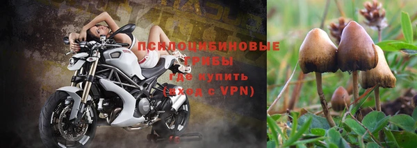 трава Киреевск