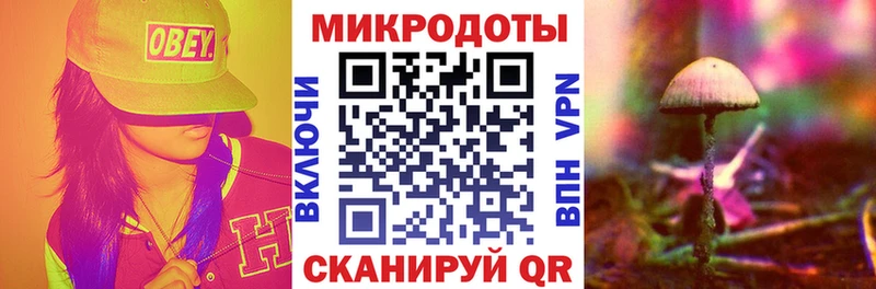 Купить закладки  Заволжье  Псилоцибиновые грибы Psilocybe 